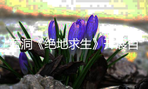 百日蓝洞行动挂行地求绝 坚决打击外为生开展